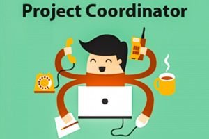Jobs for Project Coordinator in Noida