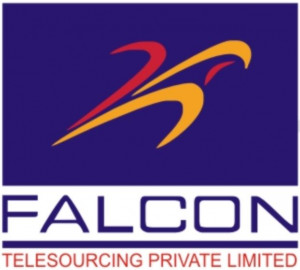 FALCON TELESOURCING PVT LTD